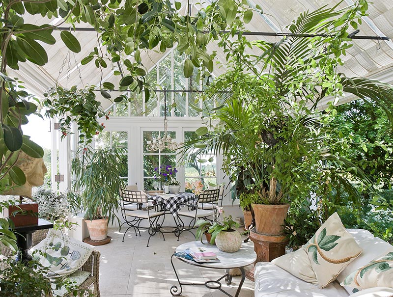 Article on orangery plants.