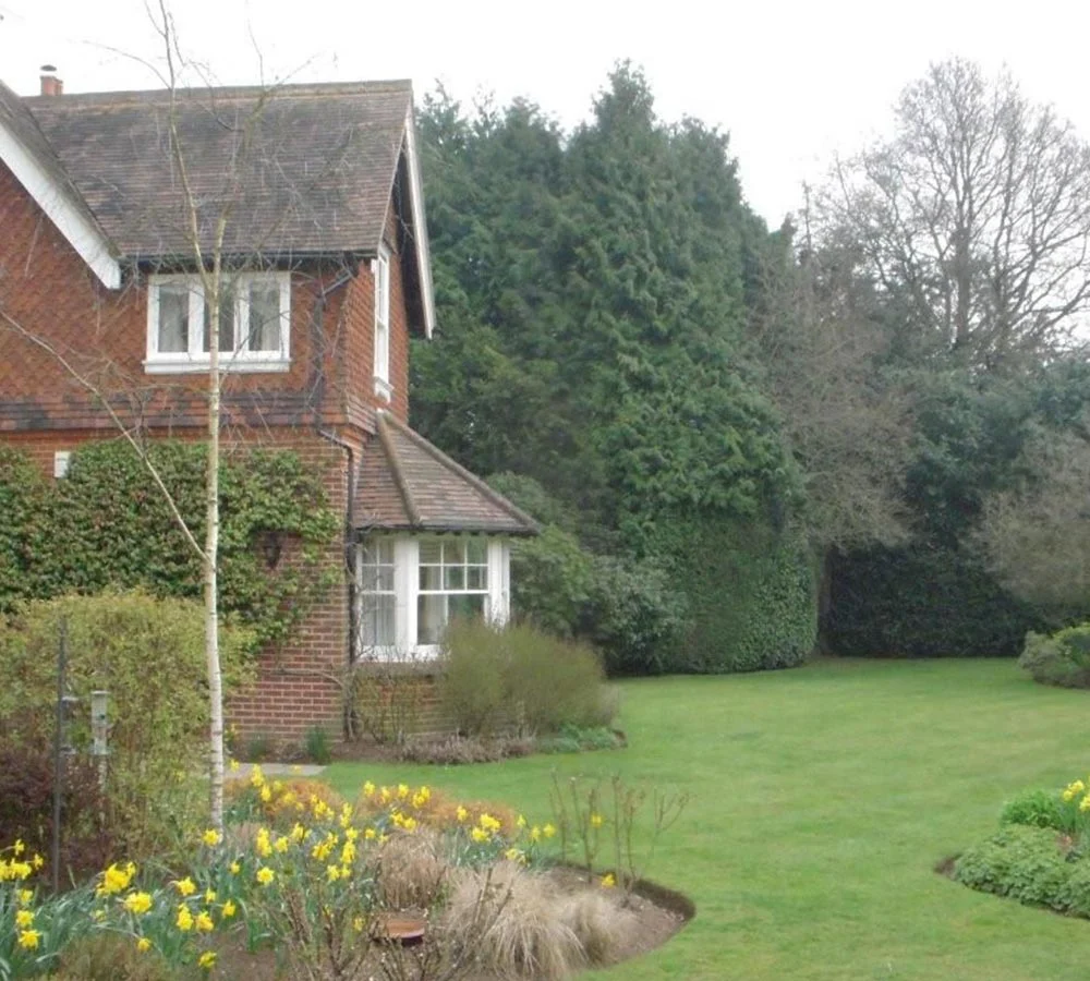 Case study before picture