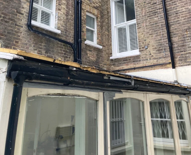 Project before picture
