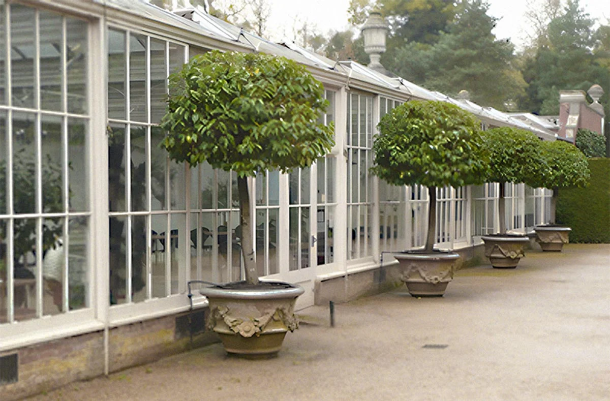 Internal view of an orangery with a glazed roof