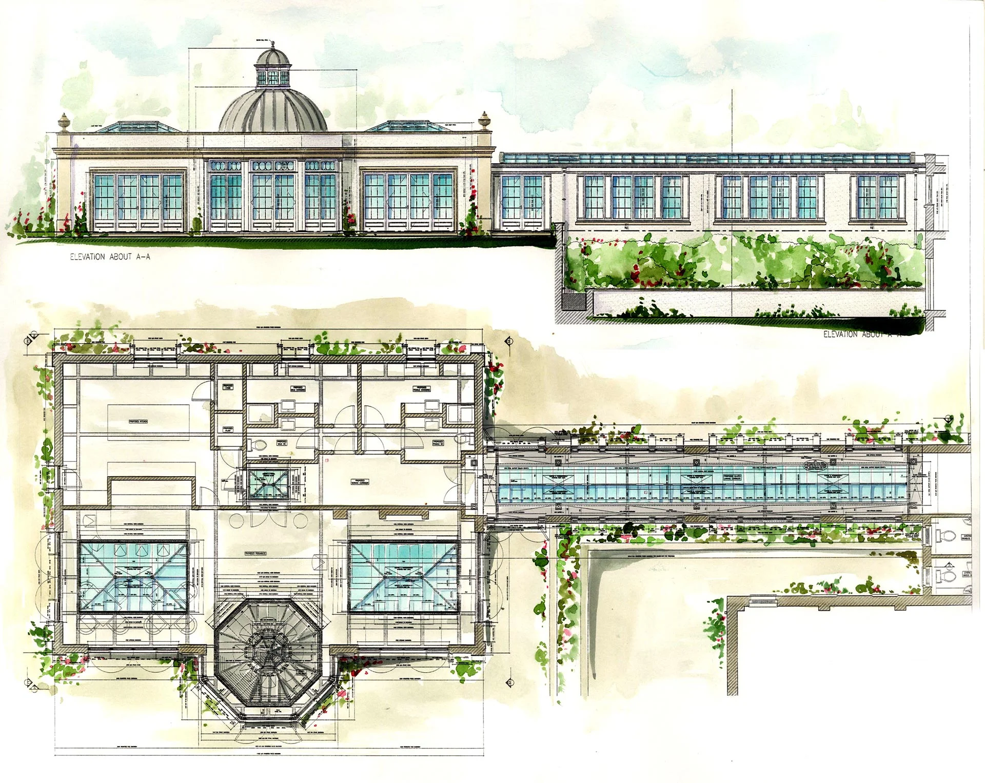 A dual level bespoke orangery with rooflights in a London townhouse