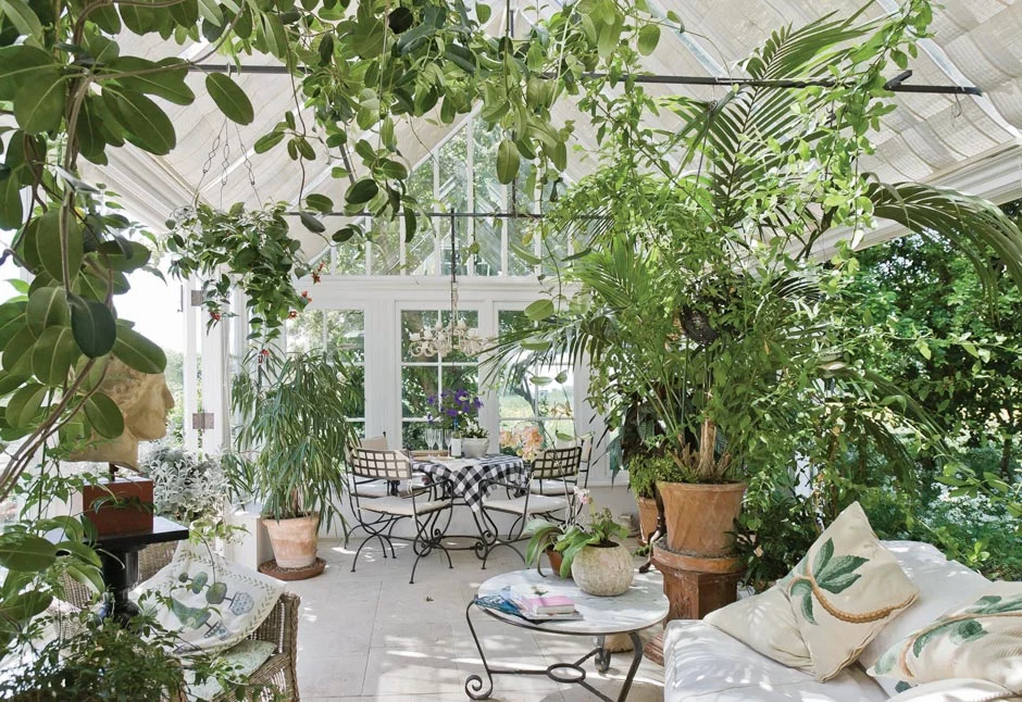 Growing plants in an orangery