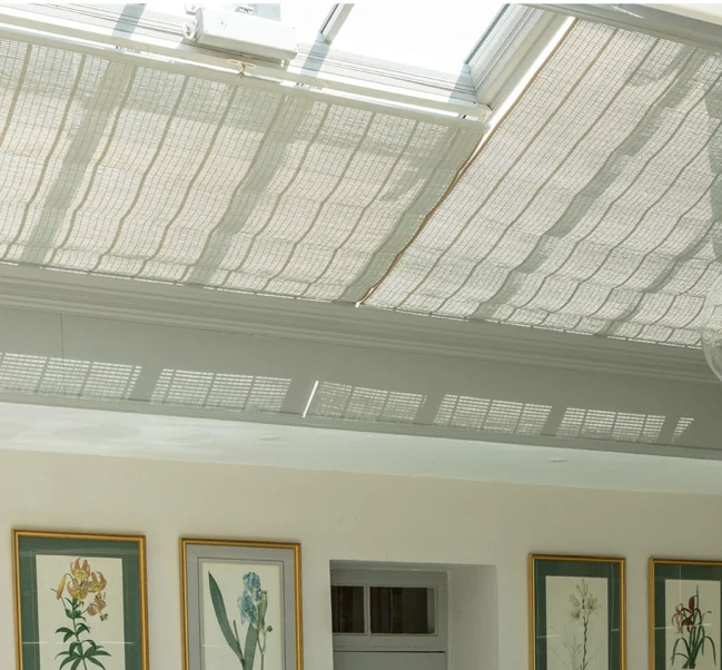 light coloured rooflight