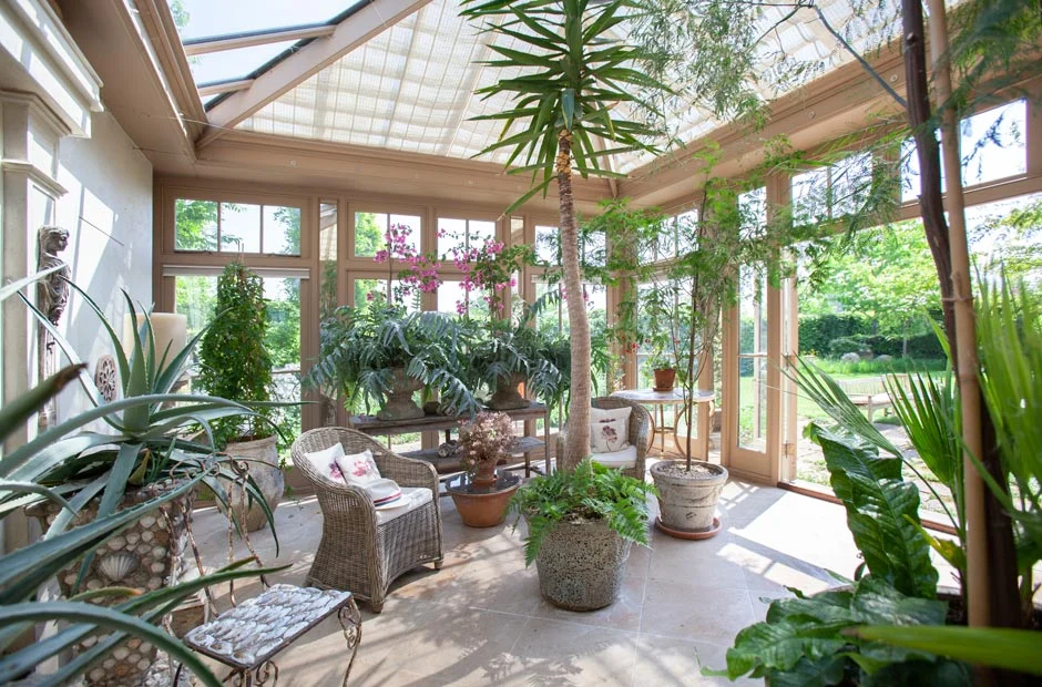 plants inside an orangery