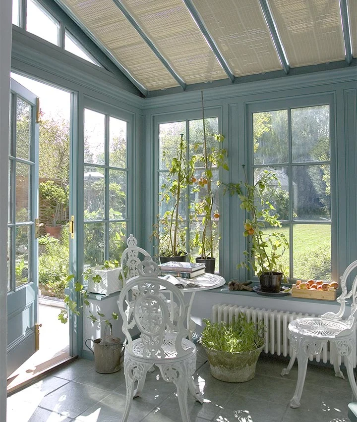 Small conservatory thriving with plants