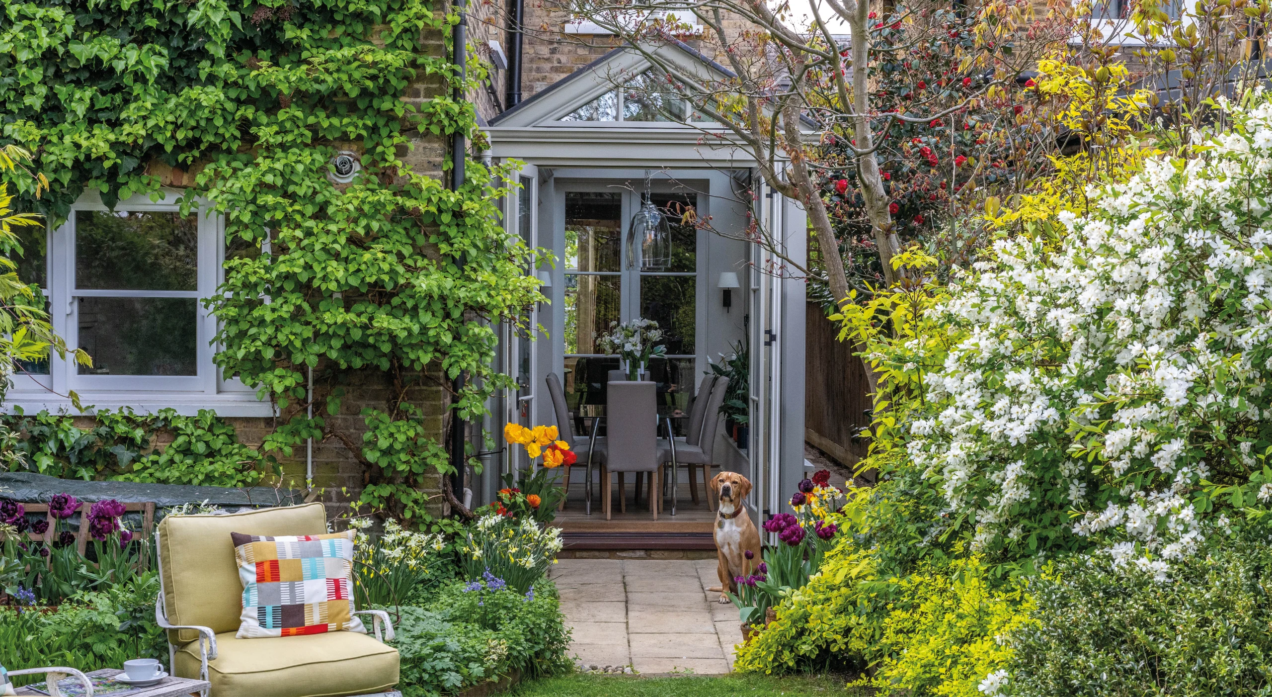 Georgian home orangery extension